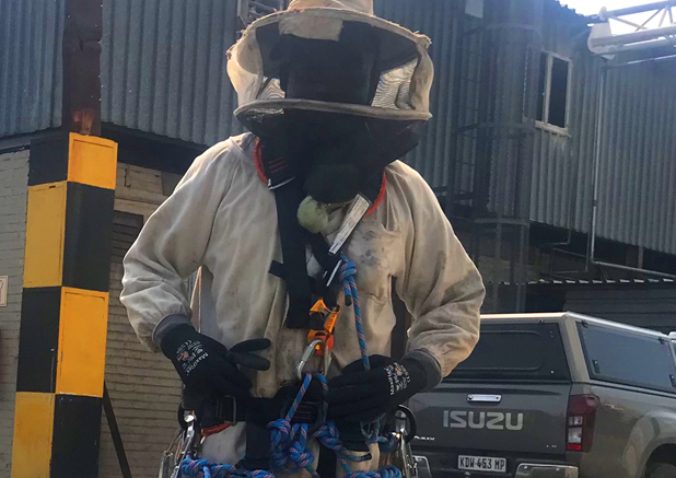 Bee removal team